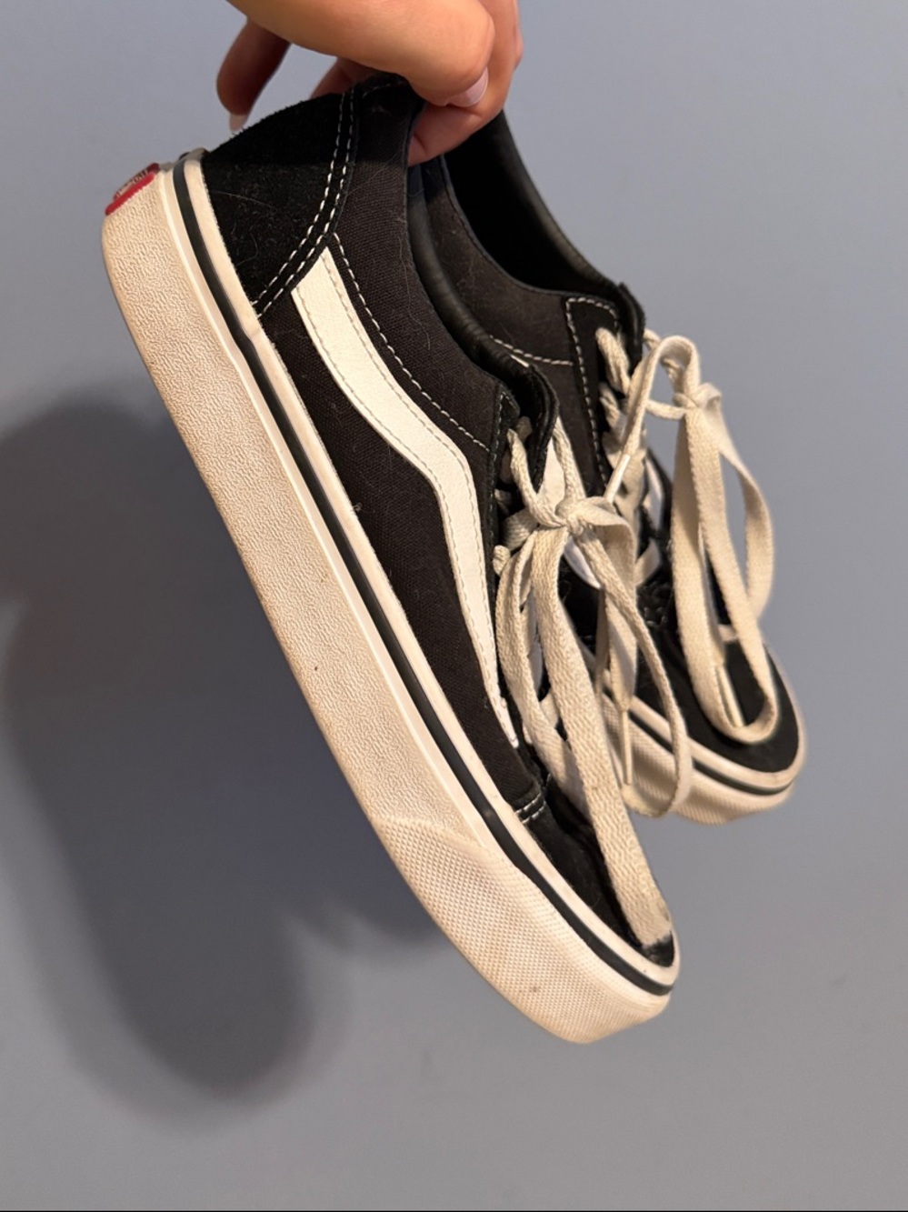 Vans Black and White Low-Top Skate Sneakers